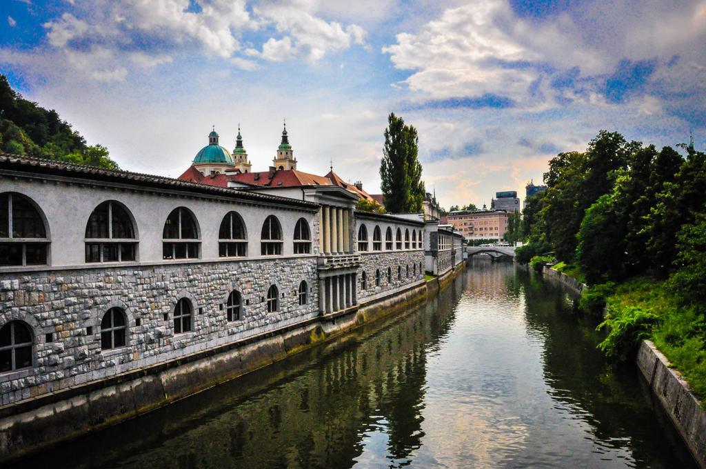 Arpa Ljubljana